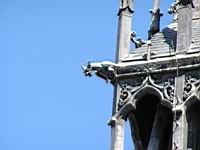 Toulouse, Le Donjon du Capitole, Gargouille (1)